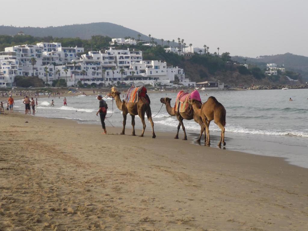 La Cassia Cabo Appartement カボ・ネグロ エクステリア 写真